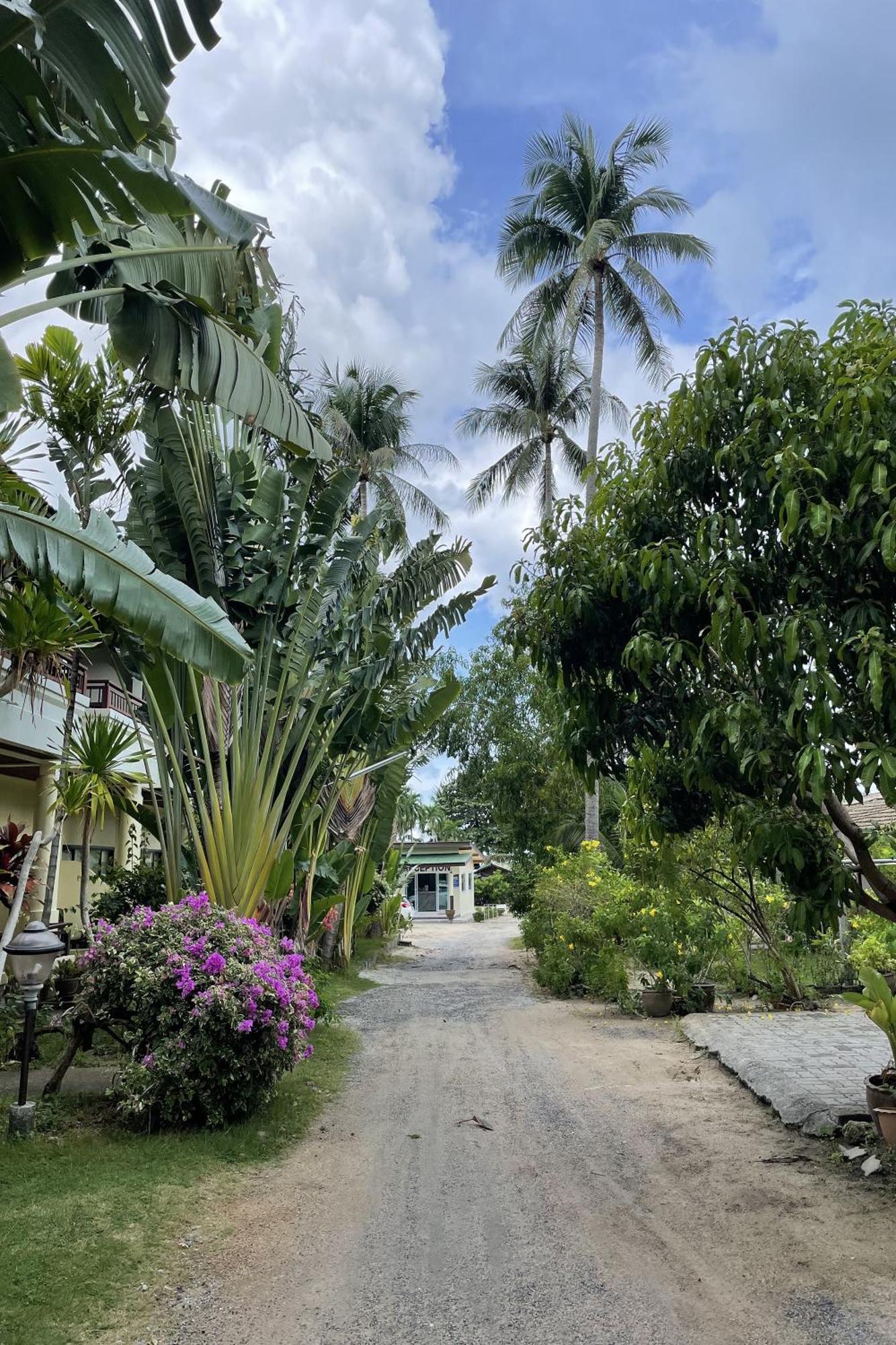 Sea Breeze Bungalow Lamai Beach  Ngoại thất bức ảnh